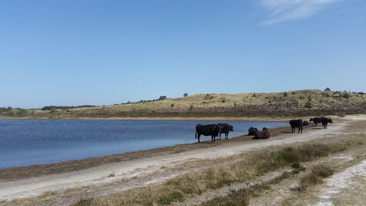Vakantiehuis Duin Bos En Zee Schoorl Esterno foto